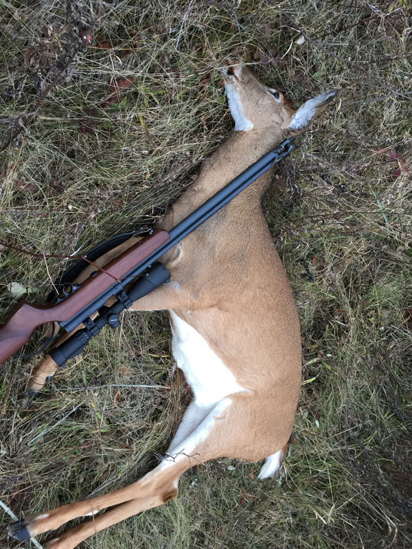 Darrell P air gun doe harvest w 40 cal